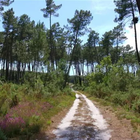 Holiday home La Gaia Nerac