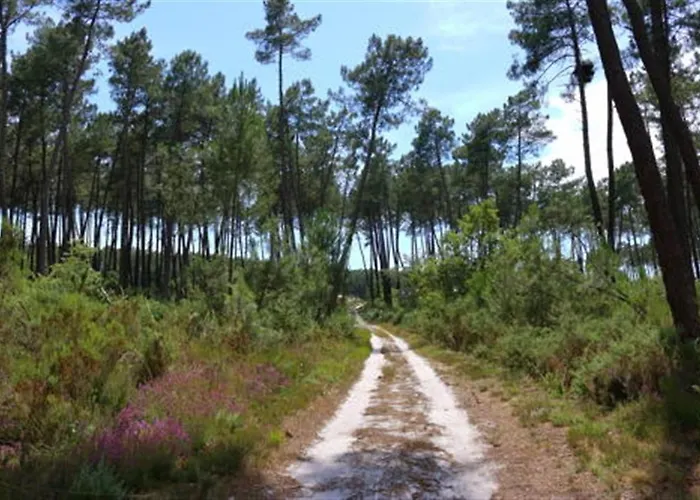 Σπίτι διακοπών La Gaia Nérac
