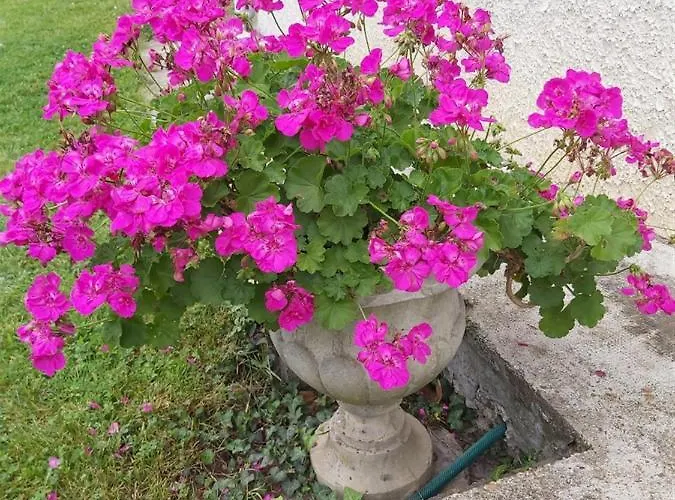 La Gaia Σπίτι διακοπών Nérac